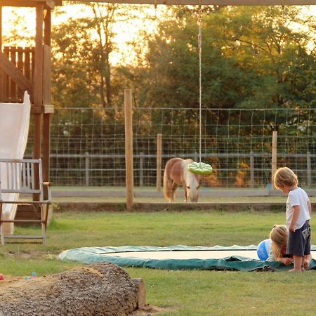 Bed and Breakfast Domaine Ramonjavel, Glamping & Alpaca'S Fongrave Exteriér fotografie