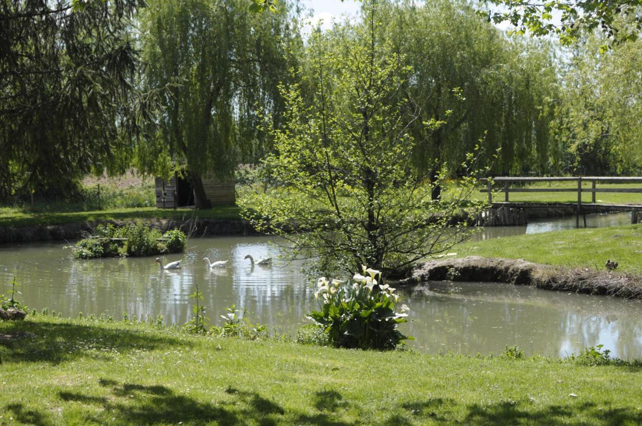 Bed and Breakfast Domaine Ramonjavel, Glamping & Alpaca'S Fongrave Exteriér fotografie