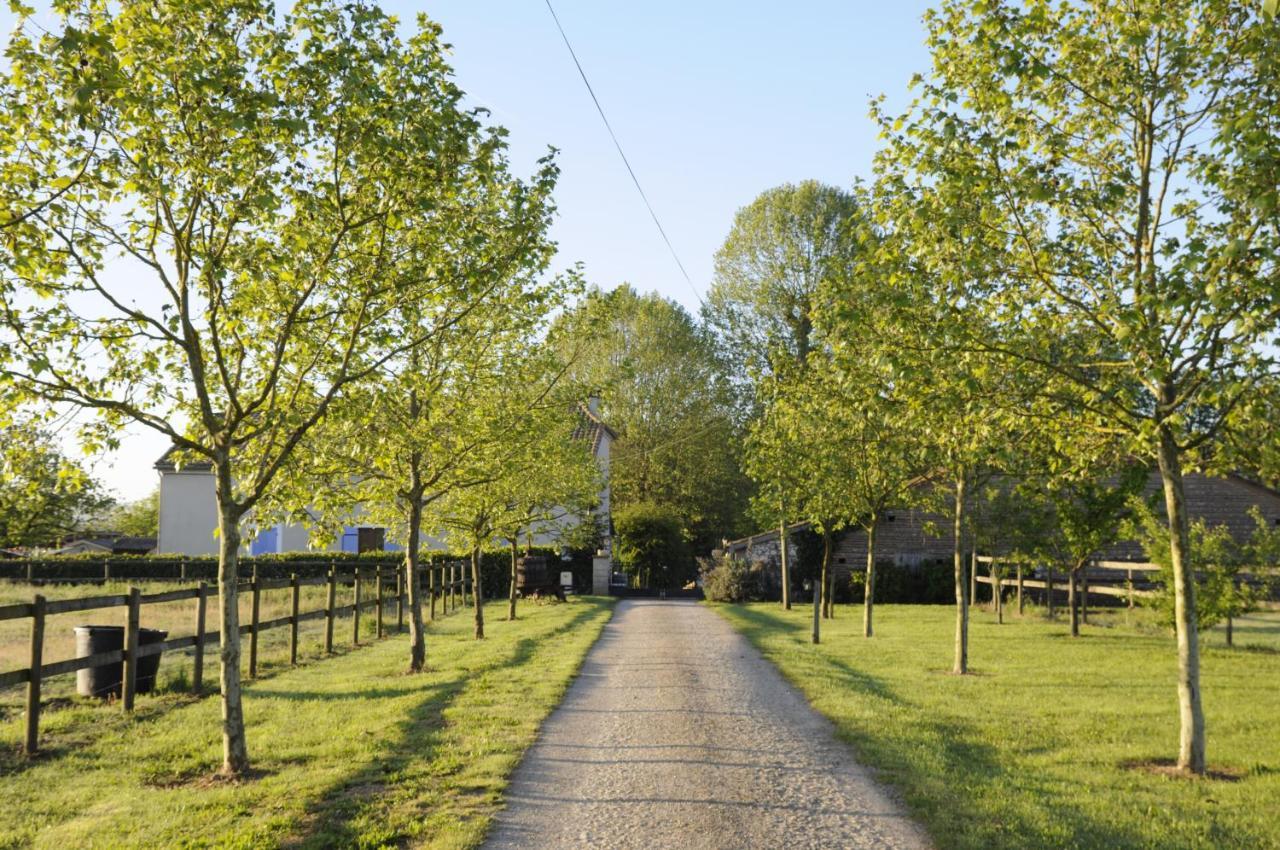 Bed and Breakfast Domaine Ramonjavel, Glamping & Alpaca'S Fongrave Exteriér fotografie