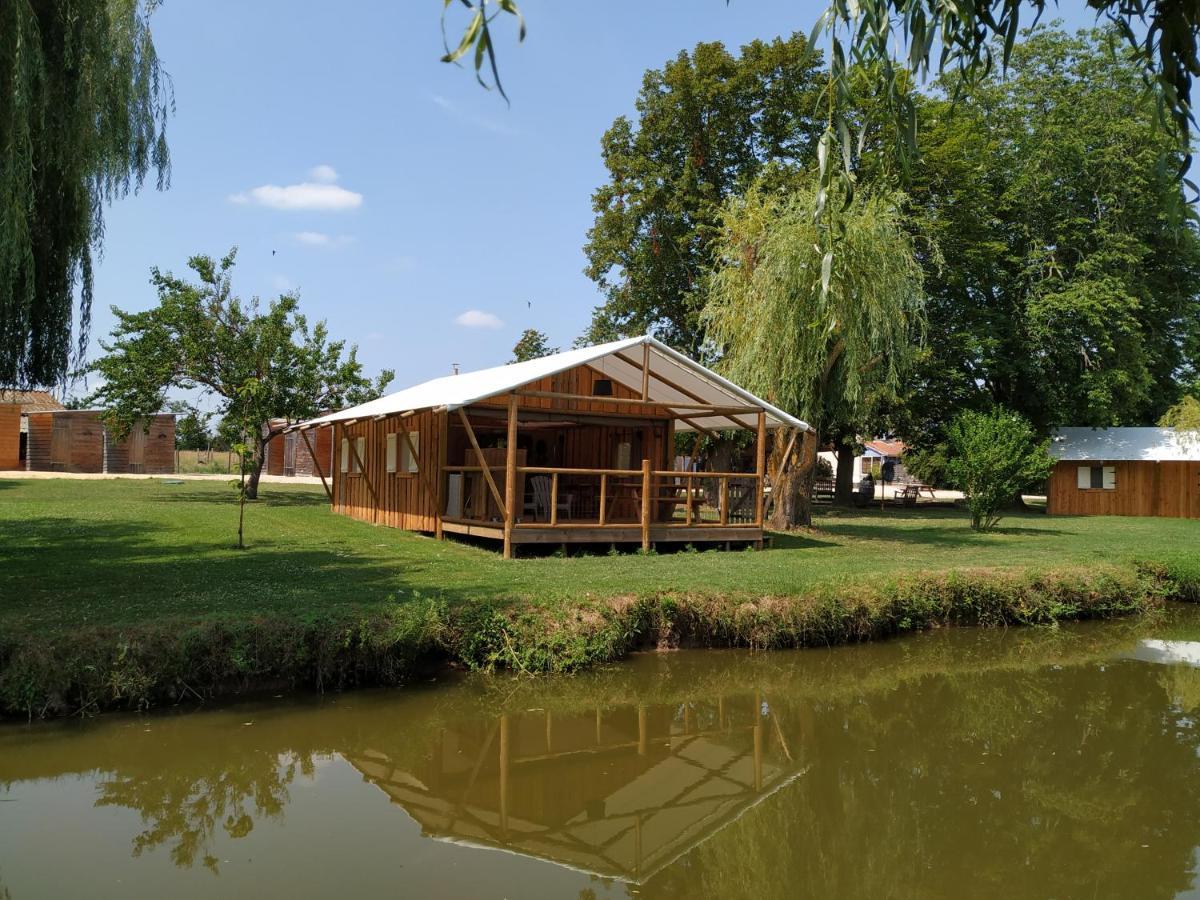 Bed and Breakfast Domaine Ramonjavel, Glamping & Alpaca'S Fongrave Exteriér fotografie