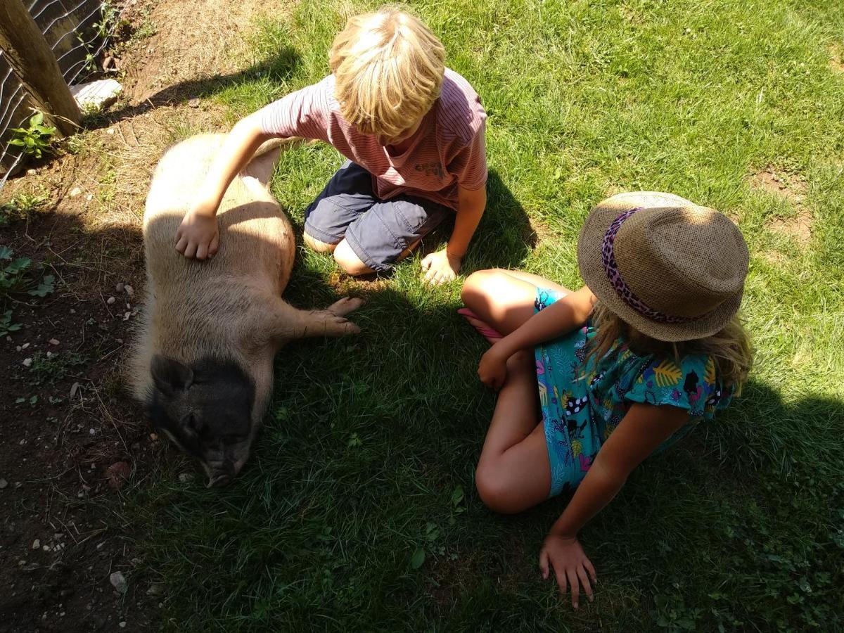 Bed and Breakfast Domaine Ramonjavel, Glamping & Alpaca'S Fongrave Exteriér fotografie